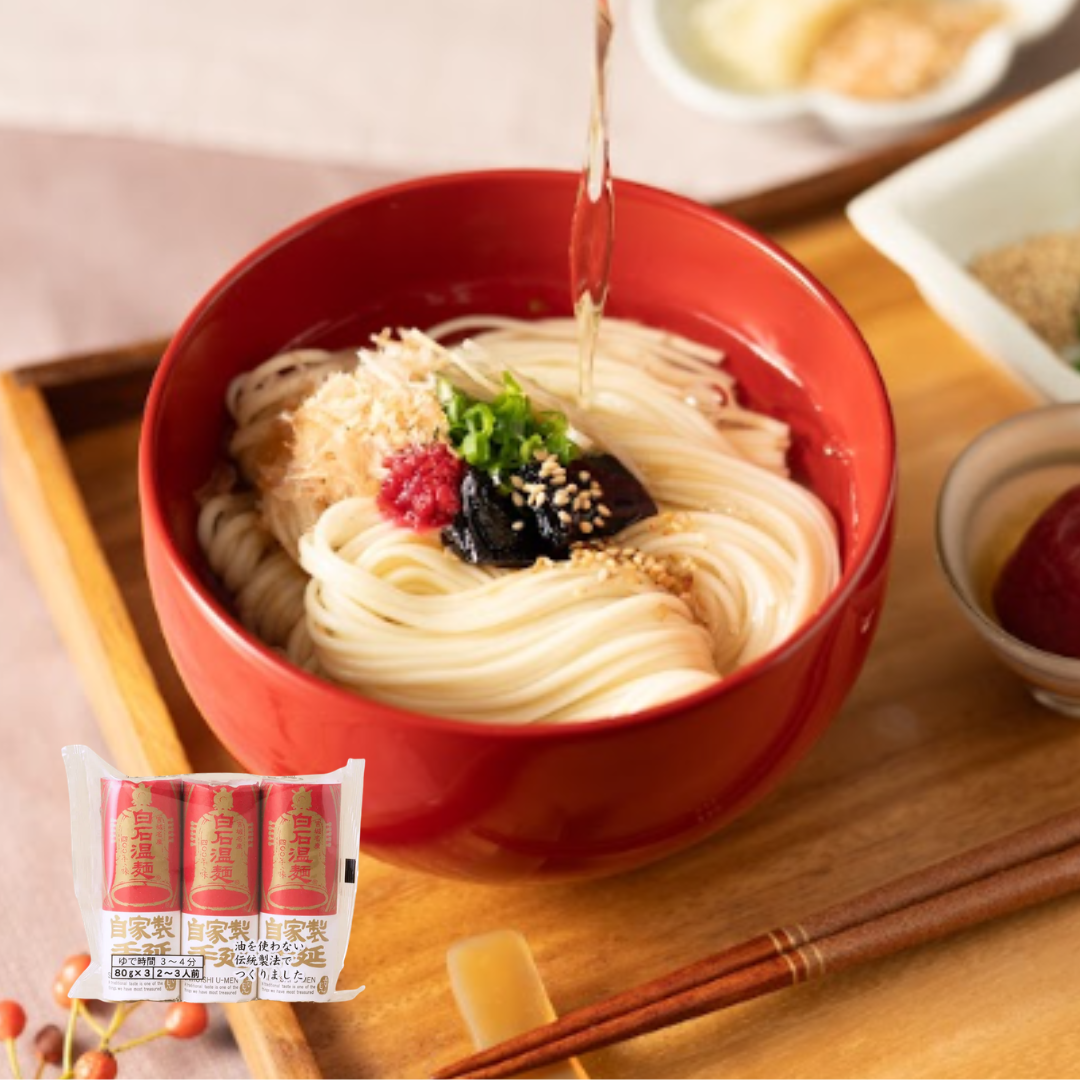 手延温麺　定期セット
