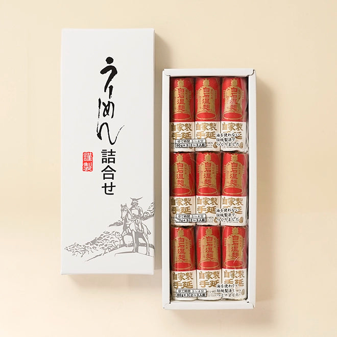 NT-9 (手延温麺9束)
